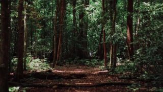 千と千尋の神隠しのラストの振り返ってはいけない理由